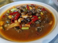螺丝-亭下湖饭店(康岭店)