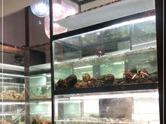 -甄御•海鲜新青岛菜(麦岛店)