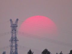 -仙海旅游度假区