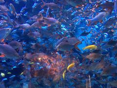 -成都浩海立方海洋公园