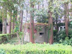 -枫泾古镇-人民公社旧址