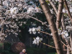 -徐家汇源景区-衡山公园