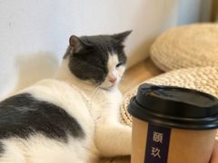 -颐玖 咖啡|甜品