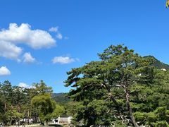 -景福宫