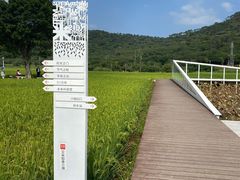 -艾米稻香小镇