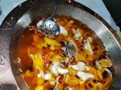 -雲蜀龙阁·金牌水煮鱼(方庄店)