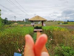 -紫颐香薰山谷景区