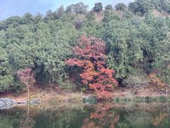 -香山公园