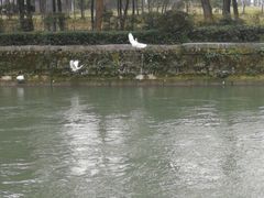 -蜀绣公园
