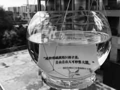 -知美术馆