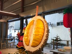 -都念榴莲·城市榴莲