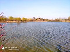 -东郊湿地公园