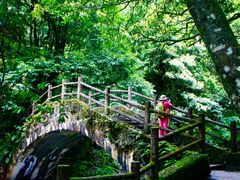 -西岭雪山大飞水景区