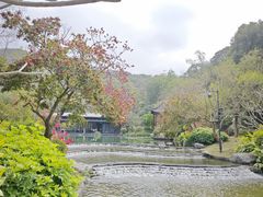 -云溪植物园