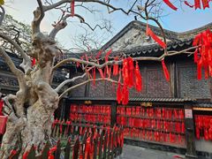 -中山詹园