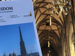 -斯蒂芬主教座堂(Stephansdom)