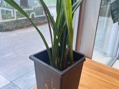 -木嘛working coffee&bar(碧道馆店)
