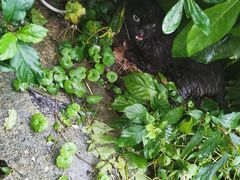 -安安宠医·安宠宠物医院