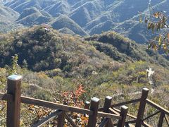 -大岭沟猕猴桃谷风景区