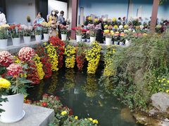 -杭州植物园