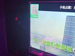 -麦克疯KTV(花园店)