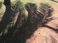 -白沙门生态公园