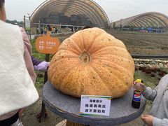 -中国天府农业博览园