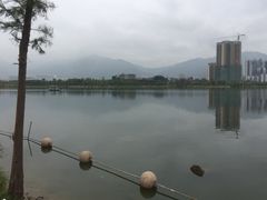 -飞来湖湿地公园