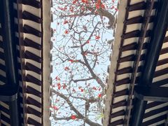 -陈家祠堂-游客中心