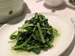 -苏浙总会(国金中心店)