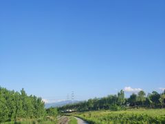 -洨河生态公园