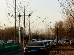 -东郊湿地公园