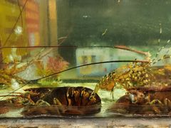 -巽寮印象美食部落餐厅·海鲜·地方特色菜(惠州体验店)