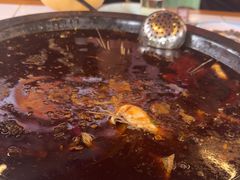 -费明中罗非鱼(大石坝店)