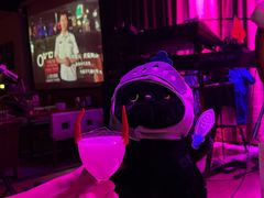 -音乐房子·Vintage Live Bar(玉林总店)