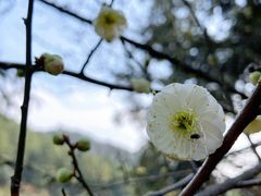 -九龙潭景区