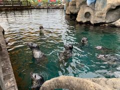 -华夏文旅海洋公园