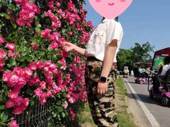 -武汉紫薇都市田园