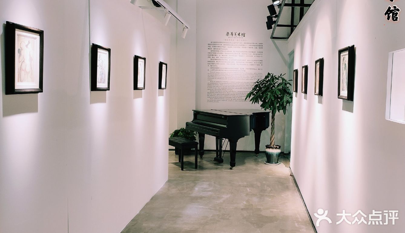 常州首家公开达利展览