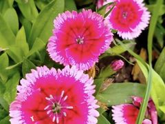 -长春公园(普阳街道)