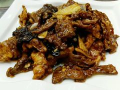 -普天和酒楼·新津菜·烤鸭(天津之眼店)