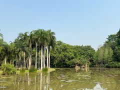 -中国科学院西双版纳热带植物园