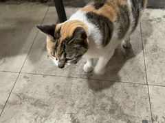 -安庆柴火馄饨(马道街店)