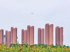 -映月湖中央公园