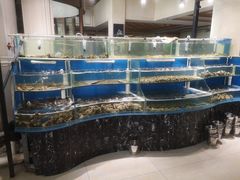 -四海蒸鲜蒸汽海鲜自助(北戴河店)