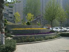 -西北大学(桃园校区)