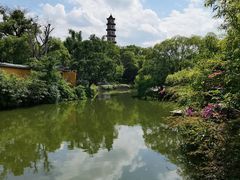 -江心屿景区