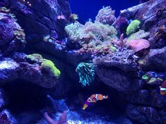 -成都浩海立方海洋公园