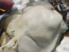 -77号渔船·蒸海鲜青岛菜(积米崖店)