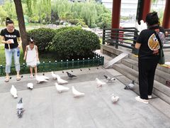 -西安曲江寒窑遗址公园